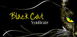 Black Cat Syndicate Limited Logo